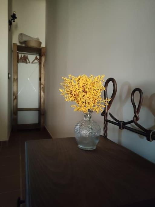 La Casa De La Abuela Amalia Daire Arenas de San Pedro Dış mekan fotoğraf